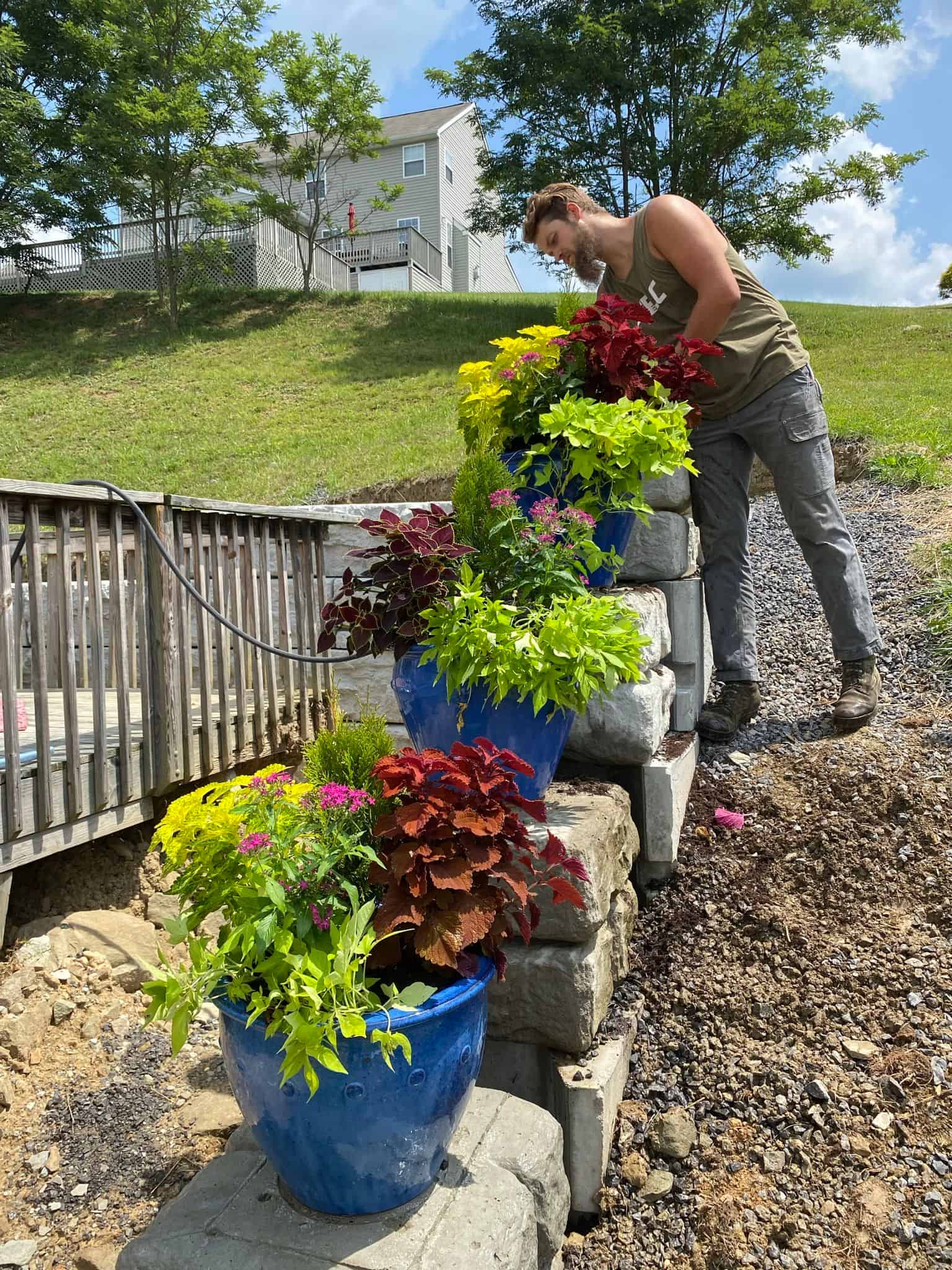 Planting & Garden Bed Installation image