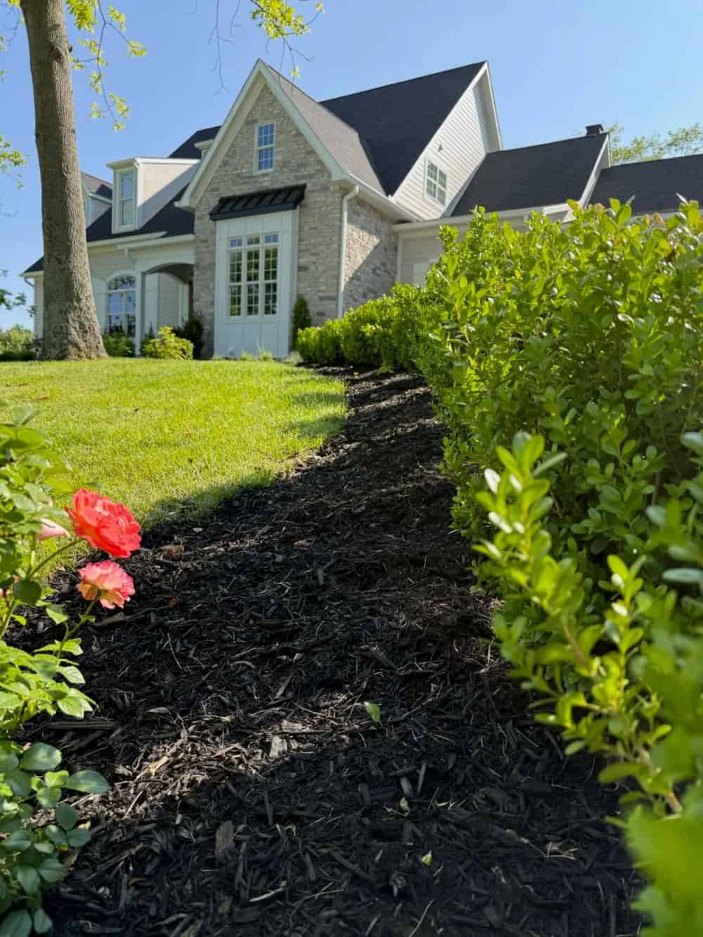 Landscape Consultation Design and Installation image