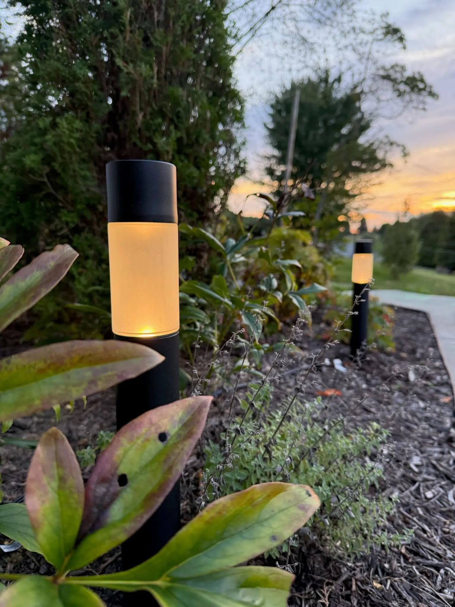 Contact form background